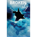Broken Sky