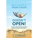 What to Do if Your Chute Doesn't Open!: Survivor's Guide to the last Days of the Coming Climate Inferno