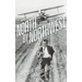 Hitchcock's North by Northwest (hardback): The Man Who Had Too Much