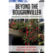 Beyond the Bougainvillea: Reflections on Disability and Rehabilitation