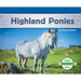 Highland Ponies