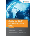 Guide to SAP In-House Cash (IHC)