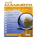 Math Mammoth Grade 3 Review Workbook