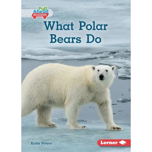 What Polar Bears Do