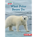 What Polar Bears Do