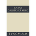 Bellum Gallicum / Der gallische Krieg