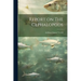 Report on The Cephalopods