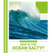 Why Is the Ocean Salty?