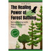 The Healing Power of Forest Bathing: Reconnecting with Nature for Inner Peace