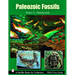 Paleozoic Fossils