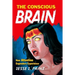 The Conscious Brain: How Attention Engenders Experience