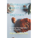 Homeopathy Health Guide for Beginners: Knowing The Importance of Homeopathy