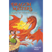 Power of the Fire Dragon