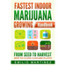 Fastest Indoor Marijuana growing Handbook: From Seed to Harvest - How to Clone Cannabis Plants
