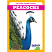 Peacocks