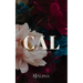 CAL Discreet Cover: Secrets and Lies Discreet Book 1