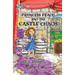 Princess Peach and the Castle Chaos: A Princess Peach story