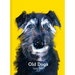 Old Dogs
