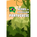 Verbs in Brazilian Portuguese: Become your own verb conjugator!