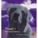 Maggie's Second Chance