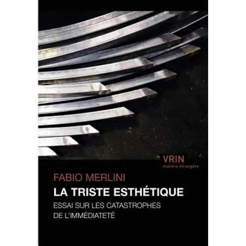 La Triste Esthetique: Essai Sur Les Catastrophes de l'Immediatete