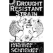 Drought Resistant Strain