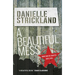 A Beautiful Mess: How God Re-Creates Our Lives