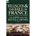 Wellington and the Fall of France Volume III: the Gaves and the Battle of Orthes