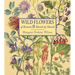 Wild Flowers of Britain: Month by Month