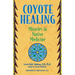 Coyote Healing: Miracles in Native Medicine