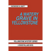 A Watery Grave in Yellowstone: Yellowstone Mystery Series a Parker Wiliams Novel