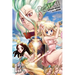Dr. Stone, Vol. 13