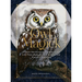 Owl Magick: Explore Our Fascinating Connections with These Birds Through Folklore and Magickal Traditions