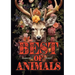 Best of Animals Coloring Book for Adults: Animals Coloring Book for Adults Grayscale Best of all Dogs, Cats, funny Animals, Flower Animals, Christmas