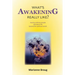What's Awakening Really Like?: Twenty ordinary people talk about life beyond the spiritual search
