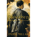 Dragonfly: A Japanese Historical Fiction Novel