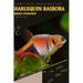 Harlequin Rasbora: From Novice to Expert. Comprehensive Aquarium Fish Guide