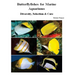 Butterflyfishes for Marine Aquariums: Diversity, Selection & Care