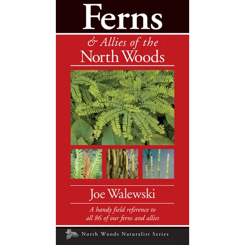 Ferns & Allies of the North Woods: A Handy Field Reference to All 86 of Our Ferns and Allies