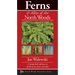 Ferns & Allies of the North Woods: A Handy Field Reference to All 86 of Our Ferns and Allies
