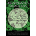 Transplanted Shamrocks Recollections of Central Ohio's Irish Americans