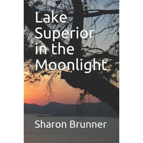 Lake Superior in the Moonlight
