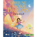 Fortune Cookie Dreams (Traditional Mandarin-English Version): A Bilingual Book in English and Mandarin with Traditional Characters and Pinyin