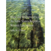 Ships and Shipwrecks of the Au Sable Shores Region of Western Lake Huron: Volume 39