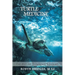 Turtle Medicine: The Art of Swimming Sideways