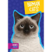 Birman Cats