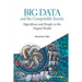 Big Data and the Computable Society