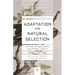 Adaptation and Natural Selection: A Critique of Some Current Evolutionary Thought