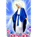 La Historia Jamas Contada de la Virgen Maria