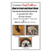 Common Hoof Problems, how to treat & beat them: A guide for the horse owner.
